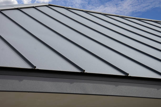 Best Steel Roofing  in Manana, HI